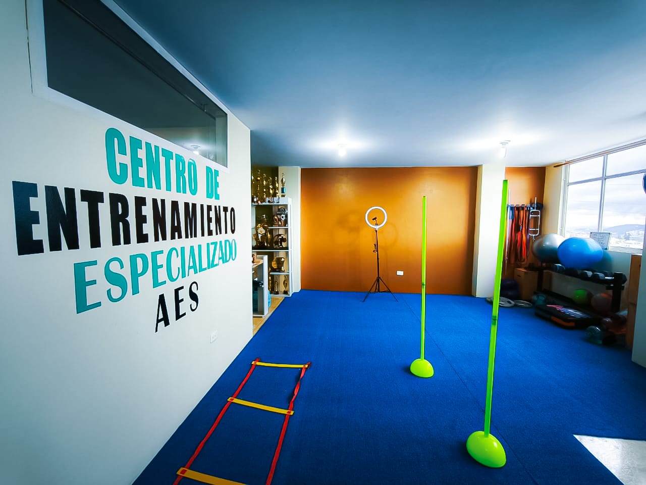Piso sintético instalado